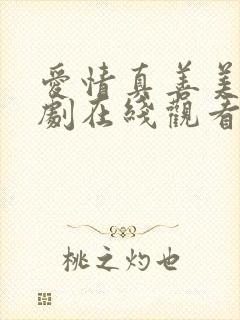 爱情真善美电视剧在线观看免费