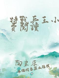 特战兵王小说免费阅读