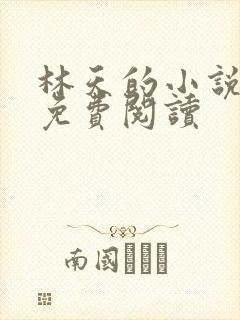 林天的小说全文免费阅读