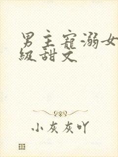 男主宠溺女主超级甜文