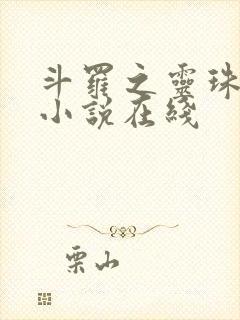 斗罗之灵珠神剑小说在线