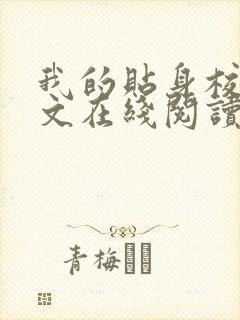 我的贴身校花全文在线阅读