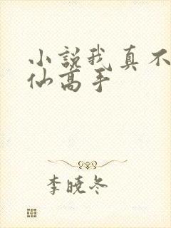 小说我真不是修仙高手
