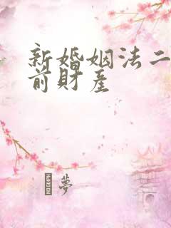 新婚姻法二婚婚前财产