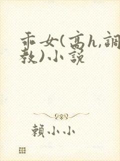 乖女(高h,调教)小说