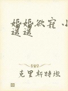 婚婚欲宠 小舟遥遥