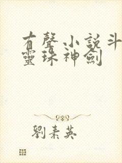 有声小说斗罗之灵珠神剑