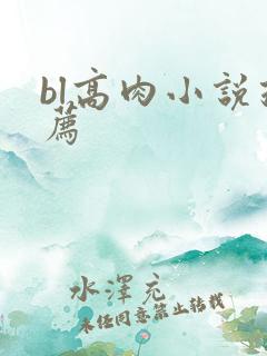 bl高肉小说推荐