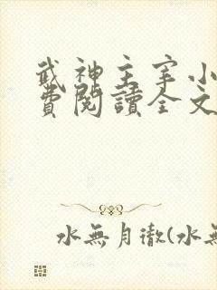 武神主宰小说免费阅读全文洛尘