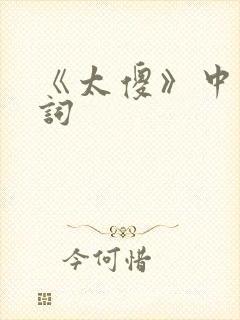 《太傻》中文歌词