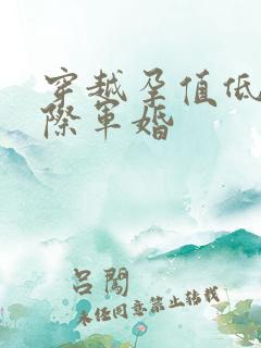 穿越孕值低的星际军婚