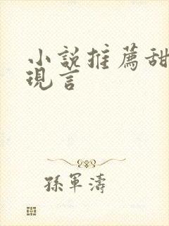 小说推荐甜宠文现言