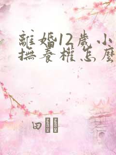 离婚12岁小孩抚养权怎么判定