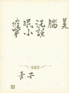 催眠洗脑美人快穿小说