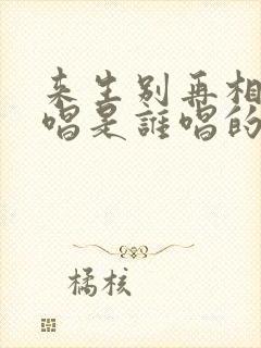 来生别再相遇原唱是谁唱的