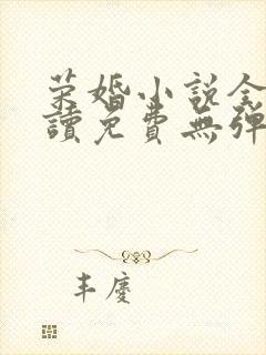 荣婚小说全文阅读免费无弹窗