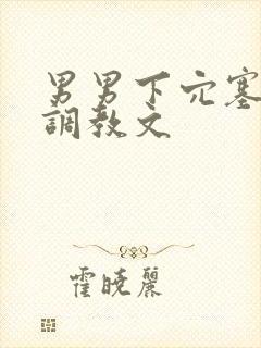 男男下穴塞东西调教文