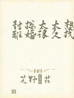 封总太太想跟你离婚很久找同类型小说