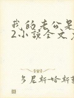 我的老公是冥王2小说全文免费阅读