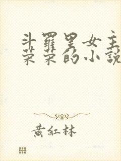 斗罗里女主是宁荣荣的小说