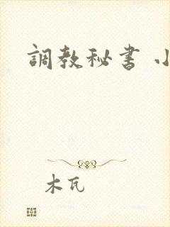 调教秘书 小说