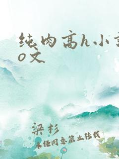 纯肉高h小说po文