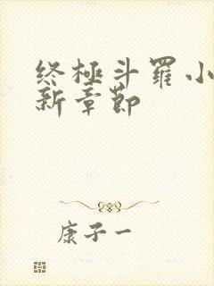 终极斗罗小说最新章节