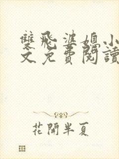 双飞婆媳小说全文免费阅读无弹窗