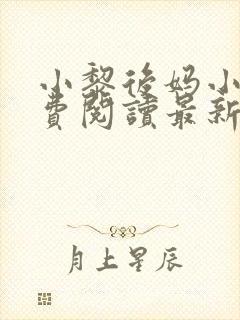 小黎后妈小说免费阅读最新章节更新