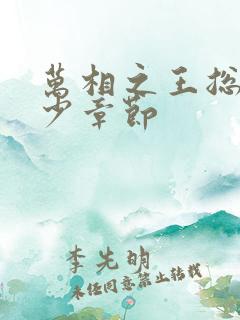 万相之王总共多少章节