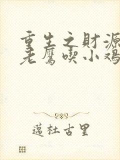 重生之财源滚滚老鹰吃小鸡