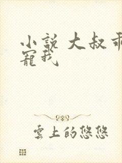 小说 大叔乖乖宠我