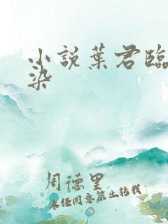 小说叶君临李子染