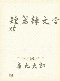 短篇辣文合集txt