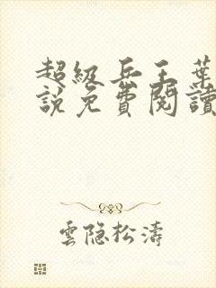 超级兵王叶谦小说免费阅读