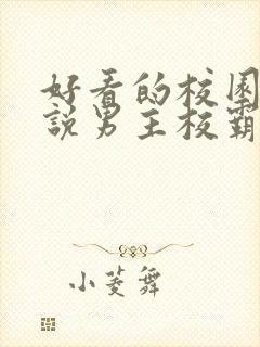 好看的校园文小说男主校霸