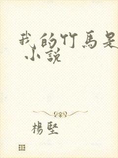 我的竹马是渣攻 小说
