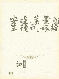 安暖,叶景淮重生后我嫁给了渣男的死对头