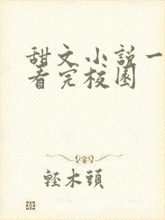 甜文小说一口气看完校园