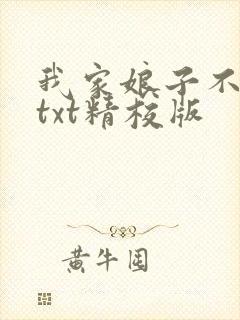 我家娘子不对劲txt精校版