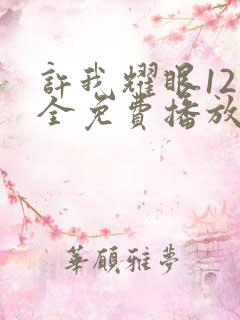 许我耀眼12集全免费播放