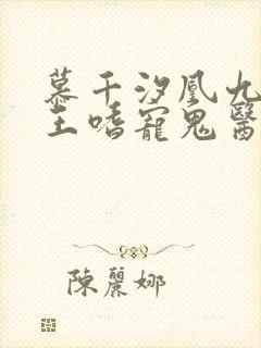 慕千汐凰九夜邪王嗜宠鬼医狂妃