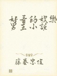 好看的娱乐圈双男主小说