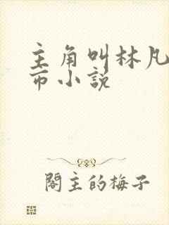 主角叫林凡的都市小说