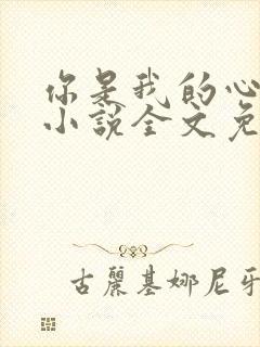 你是我的心尖宠小说全文免费阅读