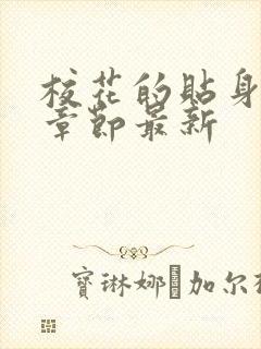 校花的贴身高手章节最新