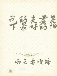 我的夫君是天底下最好的神医