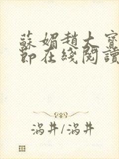 苏媚赵大宝全章节在线阅读小说