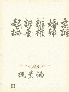 起诉离婚要小孩抚养权归谁