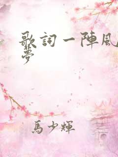 歌词一阵风一场梦